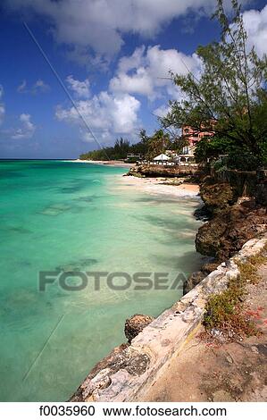 Barbados, Turtle beach View Large Photo Image Stock Image - Barbados, Turtle beach. Fotosearch