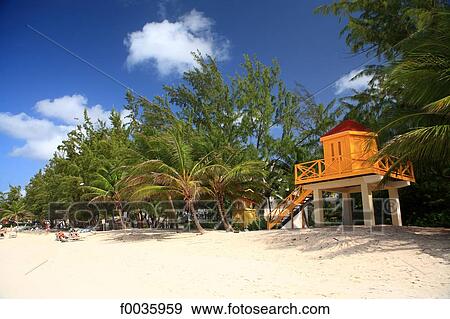 Barbados, Turtle beach View Large Photo Image Stock Photo - Barbados, Turtle beach. Fotosearch