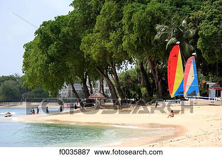 Barbados, west coast beach View Large Photo Image Stock Photo - Barbados, west coast beach. Fotosearch