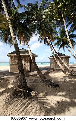 Stock Photo - Barbados, Worthing beach. Fotosearch
