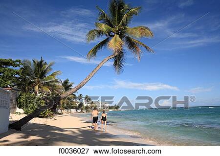 Barbados, Worthing beach View Large Photo Image Stock Photo - Barbados, Worthing beach. Fotosearch