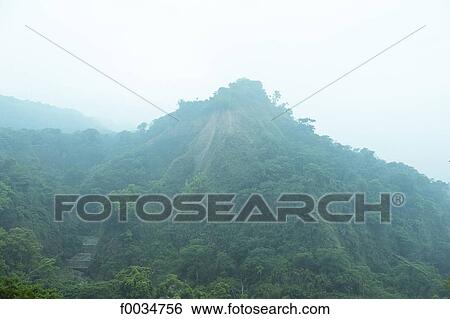 Stock Photograph - China, Taiwan, forest in the mist. Fotosearch