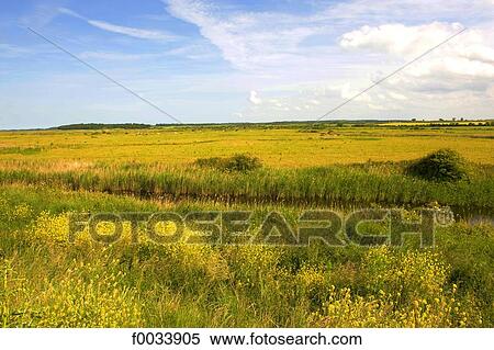 England, Norfolk, Burnham Overy View Large Photo Image Stock Photography - England, Norfolk, Burnham Overy. Fotosearch