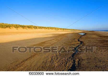 England, Norfolk, Waxham, beach View Large Photo Image Stock Image - England, Norfolk, Waxham, beach. Fotosearch