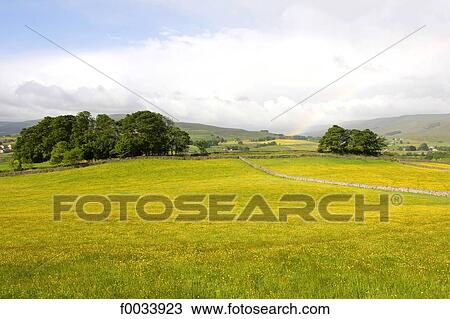Stock Image - England, Yorkshire Dales, landscape. Fotosearch