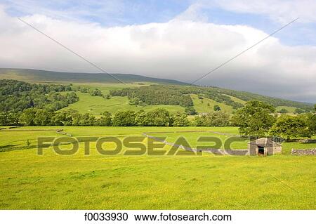 Stock Image - England, Yorkshire Dales, landscape between Hawes and Aysgarth. Fotosearch