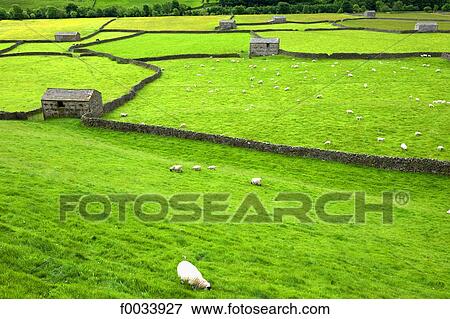 Stock Photo - England, Yorkshire Dales, landscape between Reeth and Muker. Fotosearch