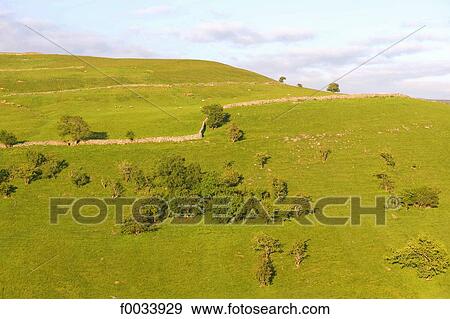 England, Yorkshire Dales, landscape View Large Photo Image Stock Photo - England, Yorkshire Dales, landscape. Fotosearch