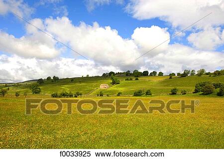 England, Yorkshire Dales, landscape between Reeth and Muker View Large Photo Image Stock Photography - England, Yorkshire Dales, landscape between Reeth and Muker. Fotosearch