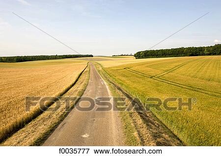 Stock Photo - France, Burgundy, road near Chablis. Fotosearch
