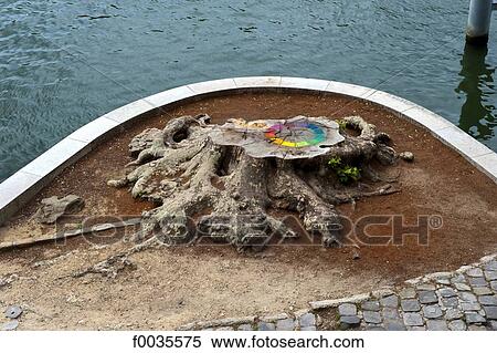France, Paris (75), Ile de France, cut-down tree near the Seine View Large Photo Image Stock Photography - France, Paris (75), Ile de France, cut-down tree near the Seine. Fotosearch