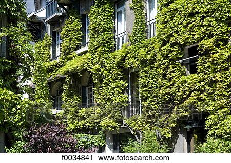 France, Paris, Butte-aux-Cailles, facade View Large Photo Image Stock Image - France, Paris, Butte-aux-Cailles, facade. Fotosearch