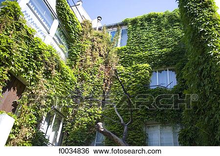 France, Paris, Butte-aux-Cailles, facade View Large Photo Image Stock Photograph - France, Paris, Butte-aux-Cailles, facade. Fotosearch