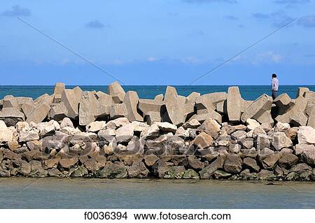 Picture - France, Pas de Calais, Gravelines, Petit Fort Philippe, embankment. Fotosearch