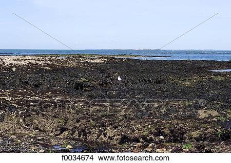 France, Pays de la Loire, Piriac-sur-Mer, seaside View Large Photo Image Picture - France, Pays de la Loire, Piriac-sur-Mer, seaside. Fotosearch