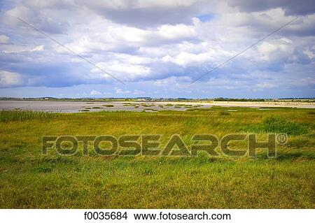 France, Poitou Charentes, bay of Meschers sur Gironde View Large Photo Image Picture - France, Poitou Charentes, bay of Meschers sur Gironde. Fotosearch