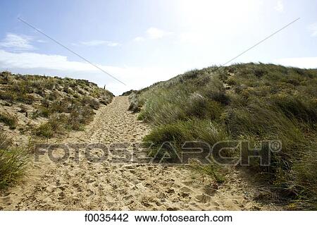 Stock Image - France, Poitou Charentes, Les Mathes, wild coast near the lighthouse of La Coubre. Fotosearch