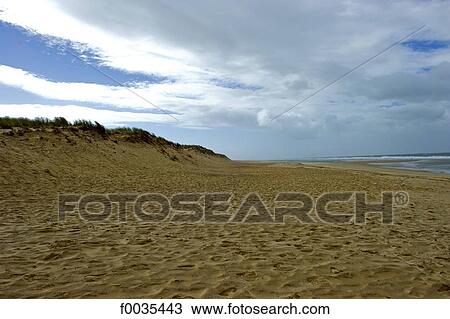 France, Poitou Charentes, Les Mathes, wild coast near the lighthouse of La Coubre View Large Photo Image Stock Image - France, Poitou Charentes, Les Mathes, wild coast near the lighthouse of La Coubre. Fotosearch