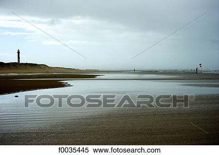 France, Poitou Charentes, Les Mathes, wild coast, lighthouse of La Coubre View Large Photo Image Stock Photography - France, Poitou Charentes, Les Mathes, wild coast, lighthouse of La Coubre. Fotosearch