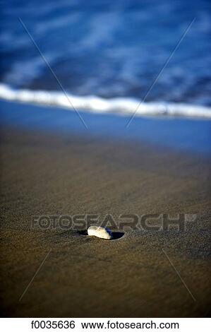 France, Poitou Charentes, Royan, beach of Grande Conche View Large Photo Image Stock Photograph - France, Poitou Charentes, Royan, beach of Grande Conche. Fotosearch