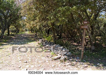 Picture - France, Provence, Ganagobie, road to the abbey. Fotosearch