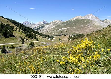 France, Provence, Lauzanier valley View Large Photo Image Stock Image - France, Provence, Lauzanier valley. Fotosearch