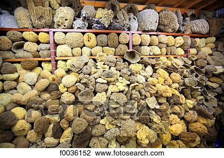 Greece, Crete, Agios Nikolaos, sponges View Large Photo Image Stock Image - Greece, Crete, Agios Nikolaos, sponges. Fotosearch