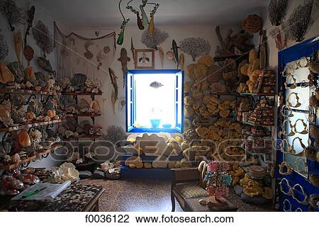 Greece, Crete, shells and sponges View Large Photo Image Stock Image - Greece, Crete, shells and sponges. Fotosearch