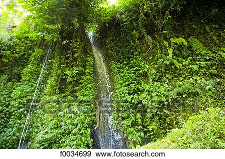 Indonesia, Bali, near Gunung Kawi temple, waterfalls View Large Photo Image Stock Photo - Indonesia, Bali, near Gunung Kawi temple, waterfalls. Fotosearch