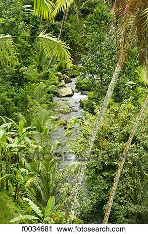 Indonesia, Bali, near Ubud, Gunung Kawi temple, Parkisan river View Large Photo Image Stock Image - Indonesia, Bali, near Ubud, Gunung Kawi temple, Parkisan river. Fotosearch