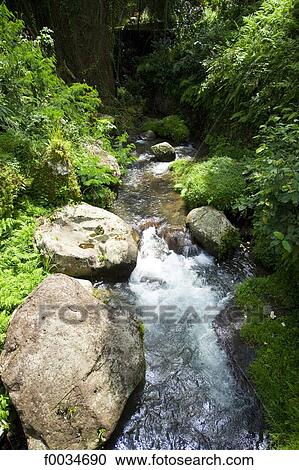 Indonesia, Bali, near Ubud, Gunung Kawi temple, Parkisan river View Large Photo Image Stock Image - Indonesia, Bali, near Ubud, Gunung Kawi temple, Parkisan river. Fotosearch