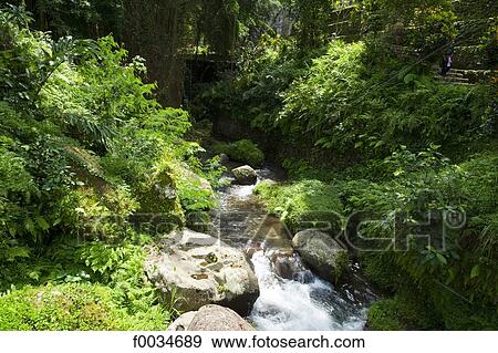 Indonesia, Bali, near Ubud, Gunung Kawi temple, Parkisan river View Large Photo Image Stock Photo - Indonesia, Bali, near Ubud, Gunung Kawi temple, Parkisan river. Fotosearch