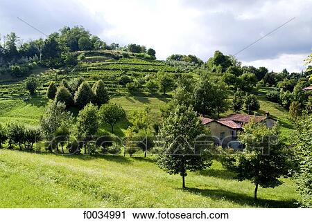 Stock Image - Italy, Lombardy, Bergamo. Fotosearch