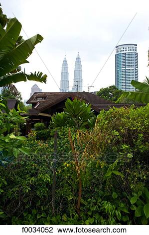 Malaysia, Kuala Lumpur, Kampung Baru district and Petronas towers View Large Photo Image Stock Image - Malaysia, Kuala Lumpur, Kampung Baru district and Petronas towers. Fotosearch
