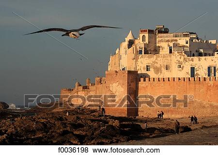 Morocco, Essaouira, remparts of the medina View Large Photo Image Stock Photo - Morocco, Essaouira, remparts of the medina. Fotosearch