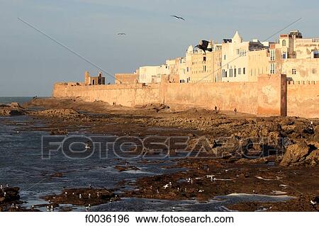 Morocco, Essaouira, remparts of the medina View Large Photo Image Stock Photograph - Morocco, Essaouira, remparts of the medina. Fotosearch