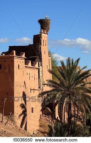 Morocco, High Atlas, Ouarzazate, stork nest View Large Photo Image Stock Image - Morocco, High Atlas, Ouarzazate, stork nest. Fotosearch