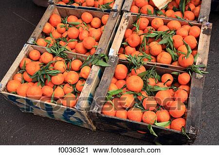 Morocco, Marrakech, berber market, oranges View Large Photo Image Stock Image - Morocco, Marrakech, berber market, oranges. Fotosearch