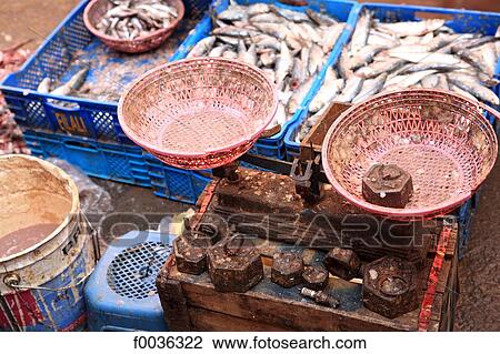 Morocco, Marrakech, berber market, fishes View Large Photo Image Stock Image - Morocco, Marrakech, berber market, fishes. Fotosearch