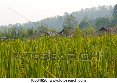 Thailand, Baan Thong Luang View Large Photo Image Stock Image - Thailand, Baan Thong Luang. Fotosearch