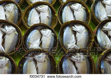 Thailand, in the direction of Bangkok, Maeklong station, in the market, fishes View Large Photo Image Stock Image - Thailand, in the direction of Bangkok, Maeklong station, in the market, fishes. Fotosearch