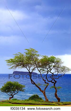 United States, Hawaii, island of Maui, view on Molokini View Large Photo Image Picture - United States, Hawaii, island of Maui, view on Molokini. Fotosearch
