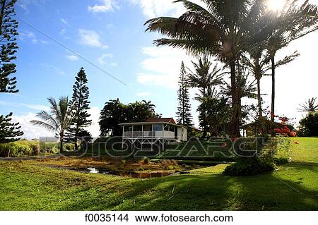 Picture - United States, Hawaii, island of Maui, typical house. Fotosearch