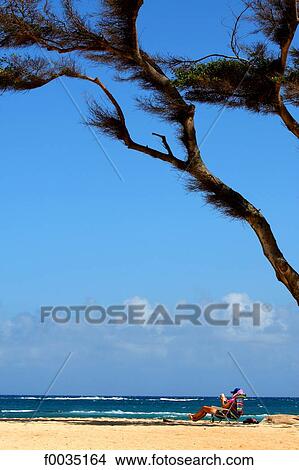United States, Hawaii, island of Maui, reading on the beach View Large Photo Image Picture - United States, Hawaii, island of Maui, reading on the beach. Fotosearch