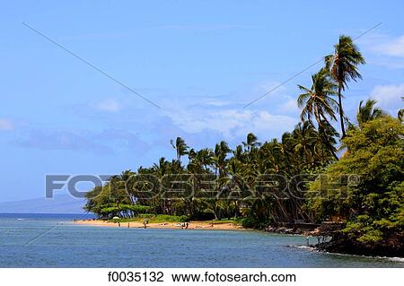 United States, Hawaii, island of Maui, seaside View Large Photo Image Stock Image - United States, Hawaii, island of Maui, seaside. Fotosearch