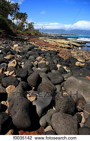 Stock Image - United States, Hawaii, island of Maui, beach. Fotosearch