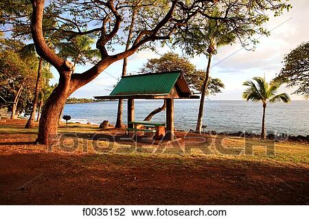 United States, Hawaii, island of Maui, seaside View Large Photo Image Stock Image - United States, Hawaii, island of Maui, seaside. Fotosearch