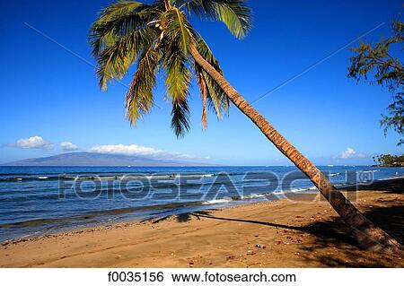 Stock Photograph - United States, Hawaii, island of Maui, near Lahaina. Fotosearch