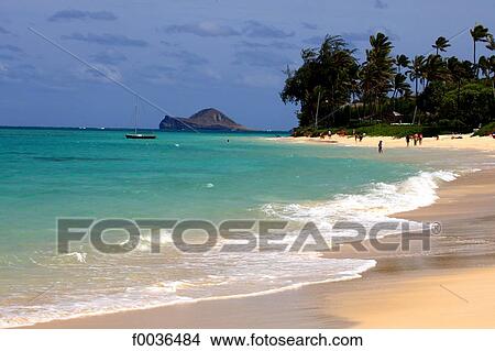 Picture - United States, Hawaii, Oahu island, Kailua beach. Fotosearch