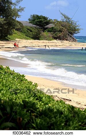 United States, Hawaii, Oahu island, east coast View Large Photo Image Stock Image - United States, Hawaii, Oahu island, east coast. Fotosearch
